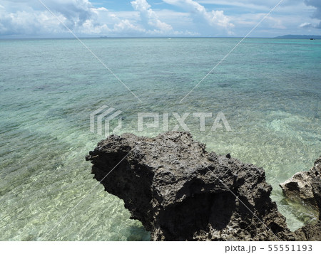波照間島の浜シタン群落のビーチ 波照間島の浜シタン群落のビーチ 55551193
