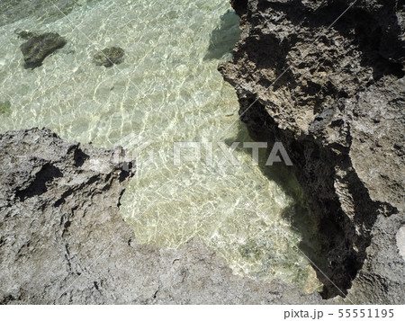 波照間島の浜シタン群落のビーチ 波照間島の浜シタン群落のビーチ 55551195