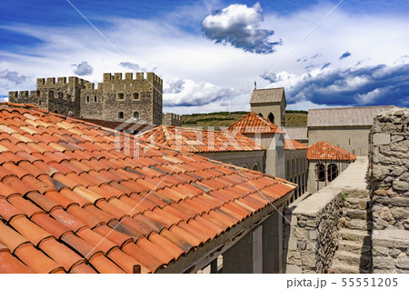 Tiled Roofs of the Castle, Rabati, Georgia 55551205