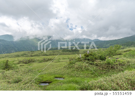 弥陀ヶ原湿原の写真素材