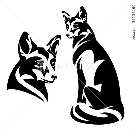 Sitting Fox Black Vector Outline On Whiteのイラスト素材 55552260 Pixta