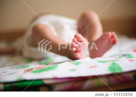 Baby feet in parent hands. Newborn baby feet Baby feet in parent hands. Newborn baby feet 55552656