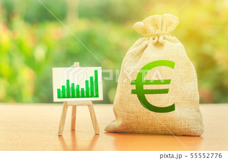 Money bag with Euro symbol  55552776