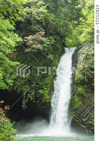 浄蓮の滝 55552823