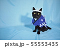 コスプレをしている黒猫の写真（お祭り） 55553435