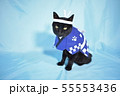 コスプレをしている黒猫の写真（お祭り） 55553436