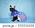 コスプレをしている黒猫の写真（お祭り） 55553438