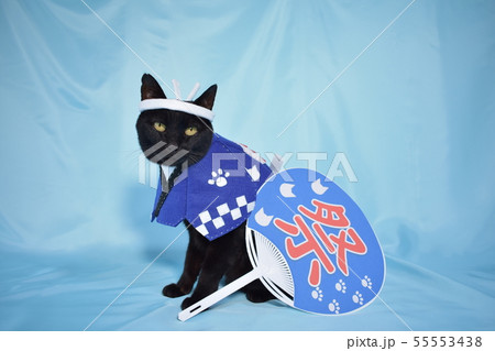 コスプレをしている黒猫の写真(お祭り) コスプレをしている黒猫の写真(お祭り) 55553438