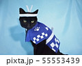 コスプレをしている黒猫の写真（お祭り） 55553439