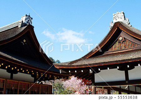 上賀茂神社の社殿 55553638