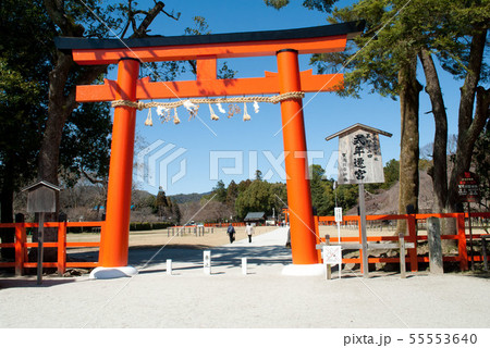 上賀茂神社の鳥居 上賀茂神社の鳥居 55553640