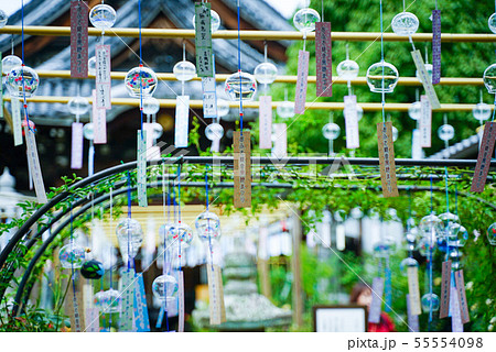 風鈴祭り 風鈴祭り 55554098