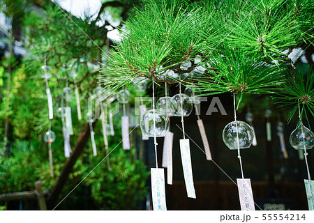 おふさ観音ふうりん 55554214