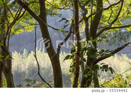 景色 風景 台湾 55554442