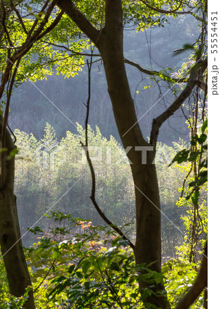 景色 風景 台湾 55554451