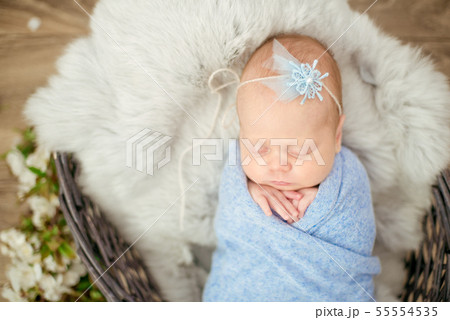 newborn baby girl in blue blanket in a basket newborn baby girl in blue blanket in a basket 55554535