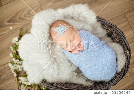 newborn baby girl in blue blanket in a basket newborn baby girl in blue blanket in a basket 55554544