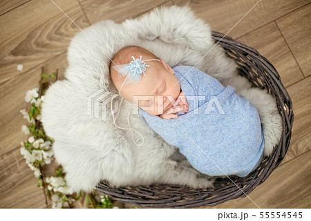 newborn baby girl in blue blanket in a  basket 55554545