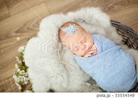 newborn baby girl in blue blanket in a  basket 55554549