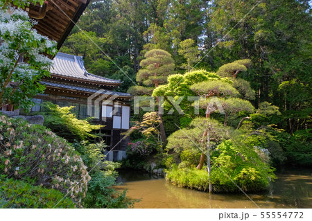 寳登山神社 庭園 長瀞町 55554772