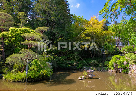 寳登山神社 庭園 長瀞町 55554774