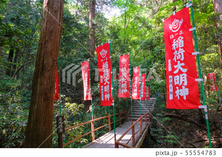 寳登山神社 宝玉稲荷神社への参道 長瀞町 55554783