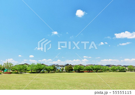初夏の青空と街の公園 55555115