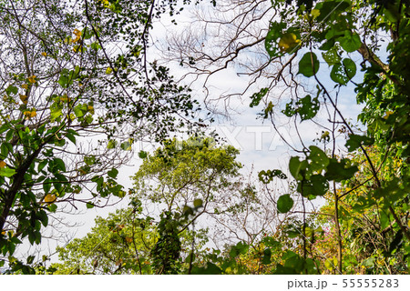 景色 風景 台湾 55555283