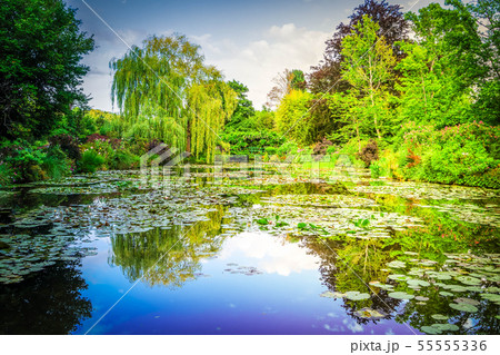 Pond with lilies in Giverny 55555336