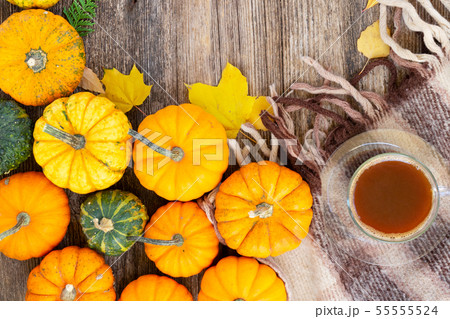 Fall leaves autumn background Fall leaves autumn background 55555524