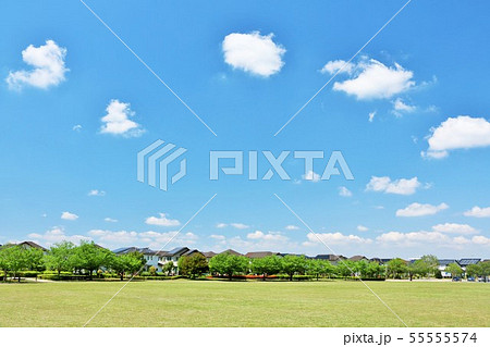 初夏の青空と街の公園 55555574