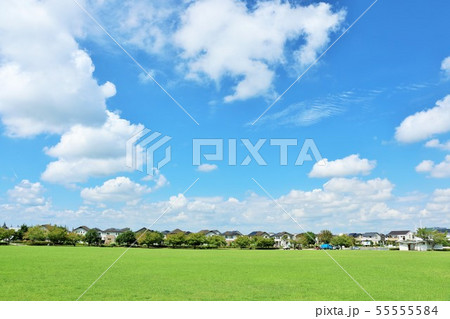 夏の爽やかな青空と街の公園 55555584