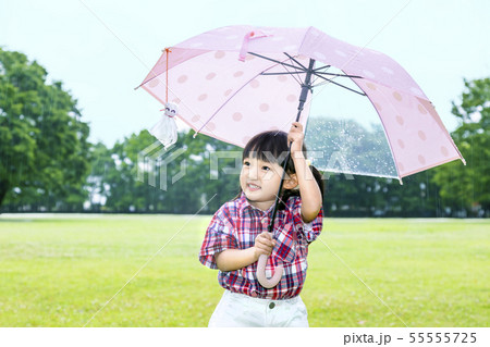 雨の公園で傘を差しテルテル坊主を見つめる幼い女の子。 雨の公園で傘を差しテルテル坊主を見つめる幼い女の子。 55555725