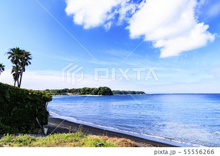 プライベートビーチ 55556266