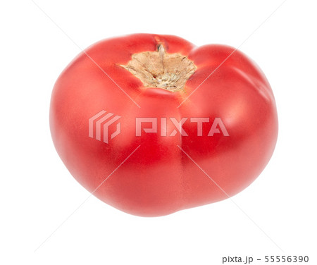 fresh large red bulls heart tomato isolated 55556390