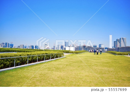 豊洲市場 屋上緑化広場 豊洲市場 屋上緑化広場 55557699