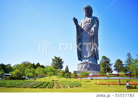 牛久大仏 牛久市 茨城県の写真素材