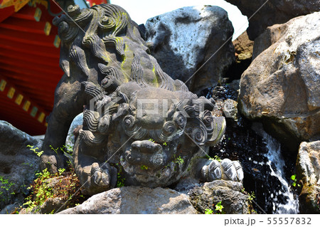 勇ましい狛犬 55557832