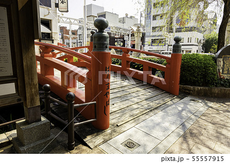 はりまや橋 高知県高知市 はりまや橋 高知県高知市 55557915