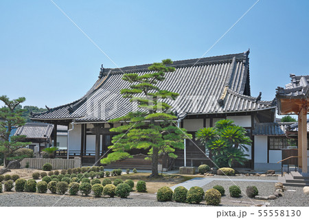 【大光寺】 大阪府泉佐野市中庄 【大光寺】 大阪府泉佐野市中庄 55558130