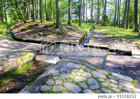 三分の一湧水 三分の一湧水 55558232