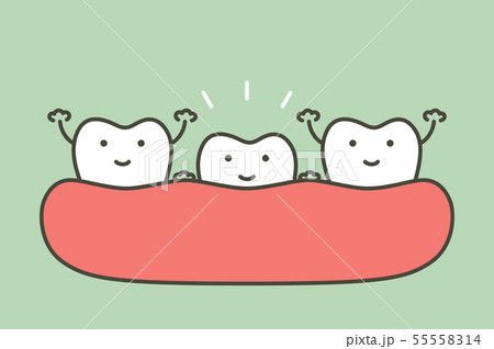 first tooth - tooth growing up from gum first tooth - tooth growing up from gum 55558314