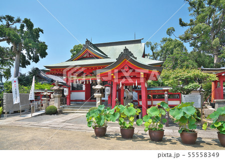 【奈加美神社】 大阪府泉佐野市中庄 【奈加美神社】 大阪府泉佐野市中庄 55558349