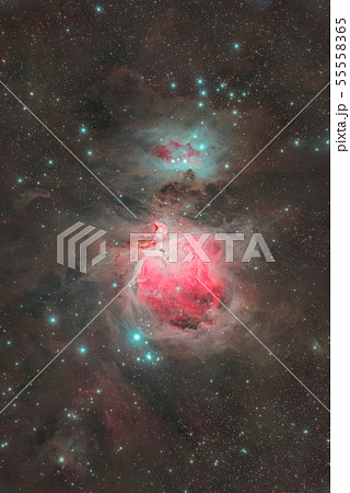 オリオン大星雲 55558365
