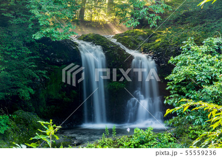 朝日の差し込む夏の富士吉田市鐘山の滝 55559236