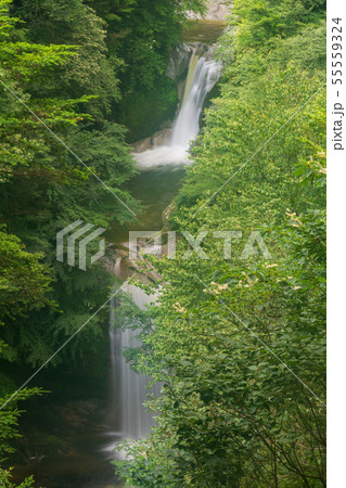 北杜市 尾白川渓谷神蛇滝 55559324