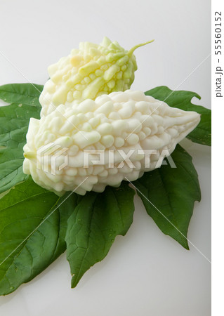 白いゴーヤの写真素材