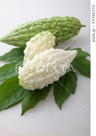 白いゴーヤの写真素材