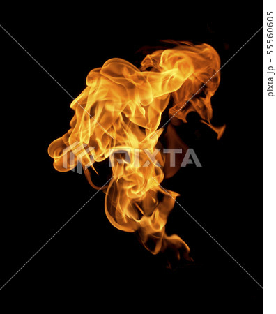 Fire flames on black background 55560605