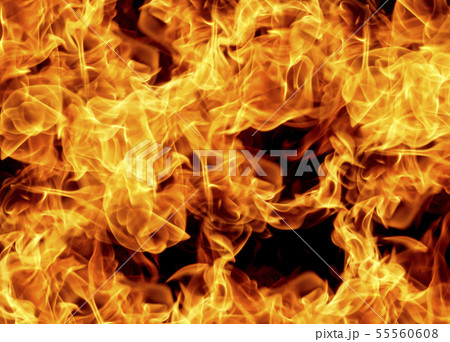 Fire flames on black background Fire flames on black background 55560608